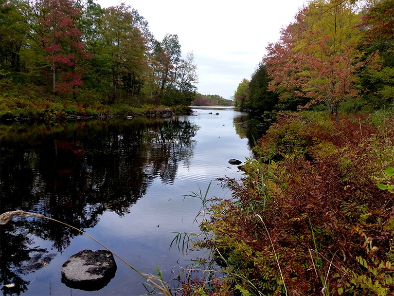 Land Conservancy for Kingston, Frontenac, Lennox & Addington American