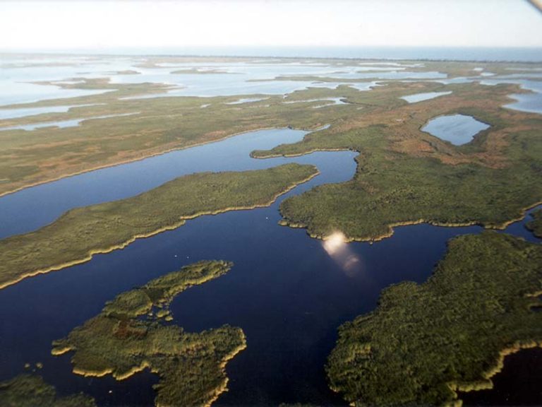 Delta Wetland, Lake Manitoba - American Friends of Canadian Conservation